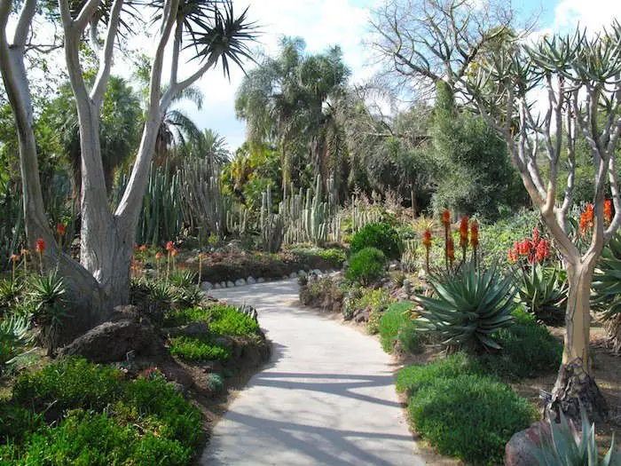 Sustainable Desert Garden in Abu Dhabi